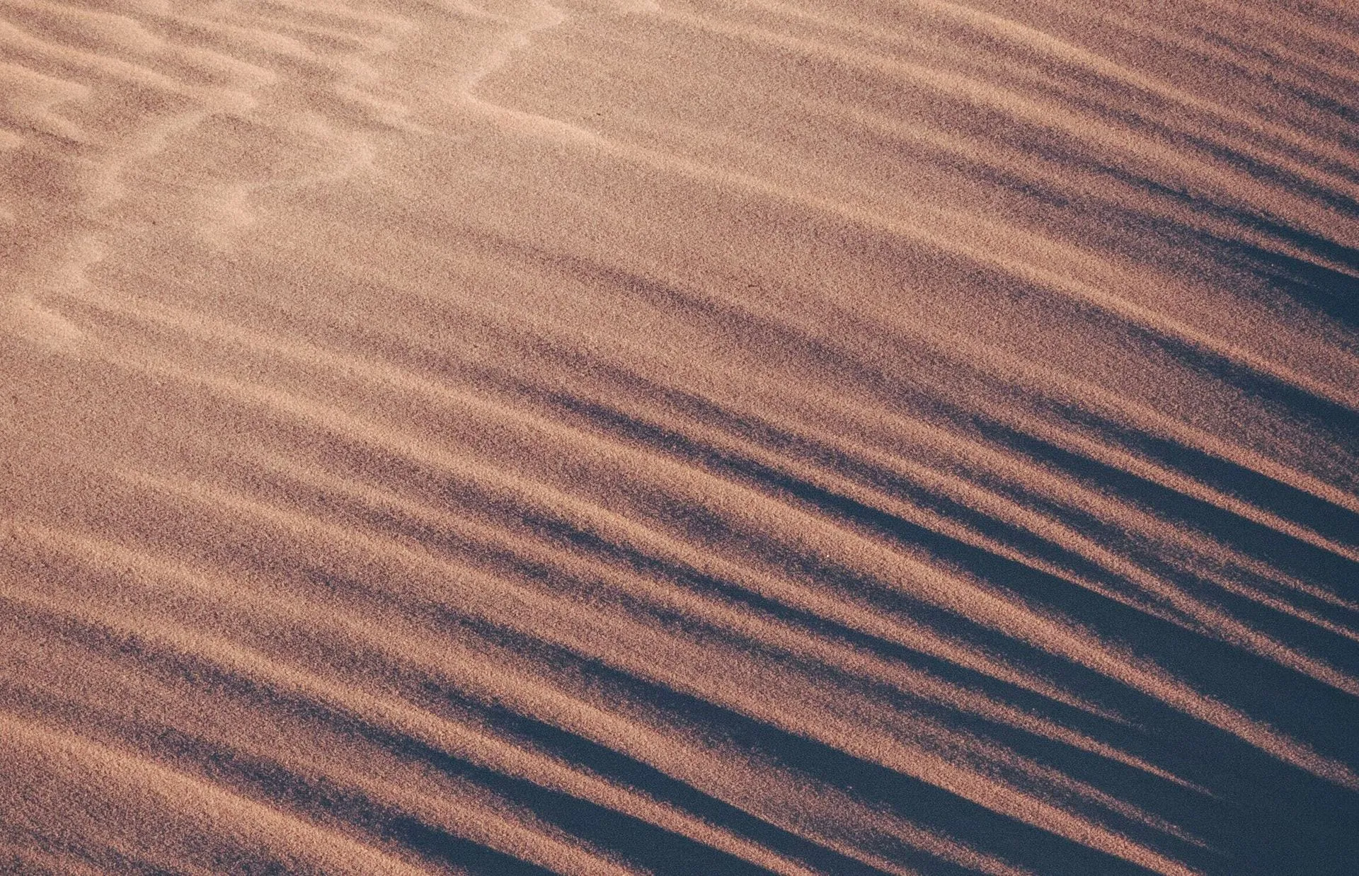Sand dunes with curved lines and shadows.